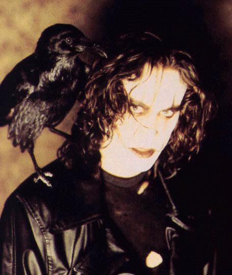 the crow