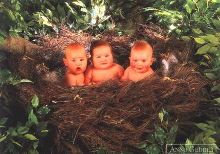 ..............................