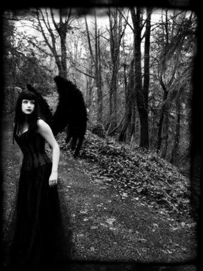 ..............................