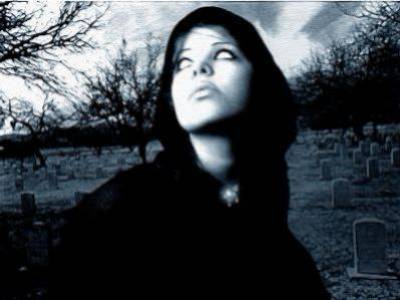 ..........................................