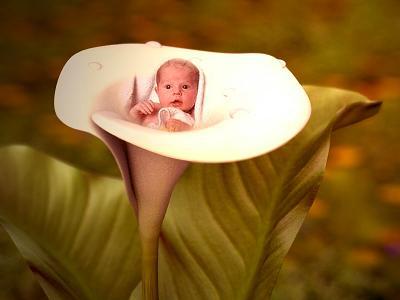 ......................................