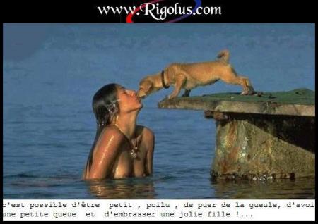 .....................