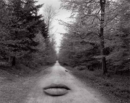 LE CHEMIN DE TENDRESSE