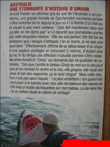 histoire d'amour �tonnante