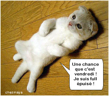 la saison des faucons