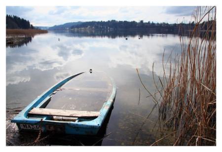 - Communiqu� sp�cial de �La Pluie� -