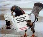 les pigeons