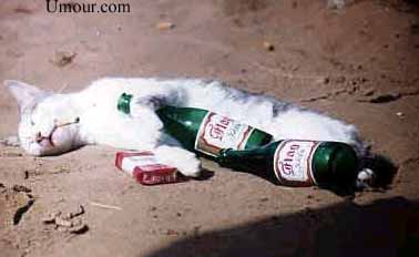 juste pour le plaisir