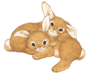 petit lapins calin