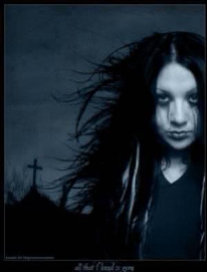 ..............................