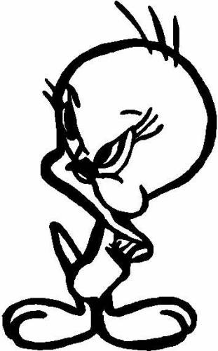 ou il est le gros minet