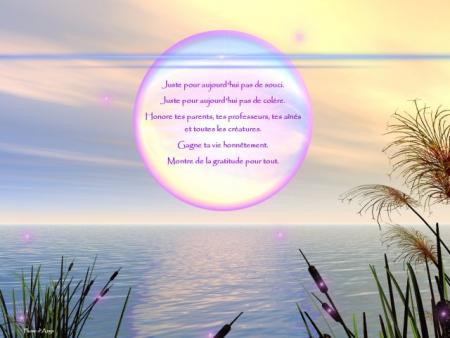 quelques citations...