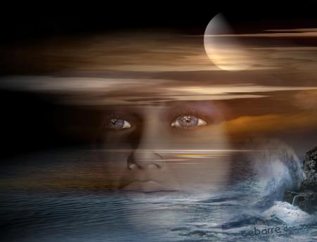 Le chemin de la vie.