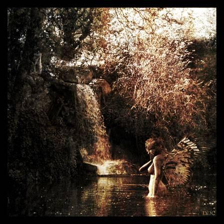 a regarder c'est tout